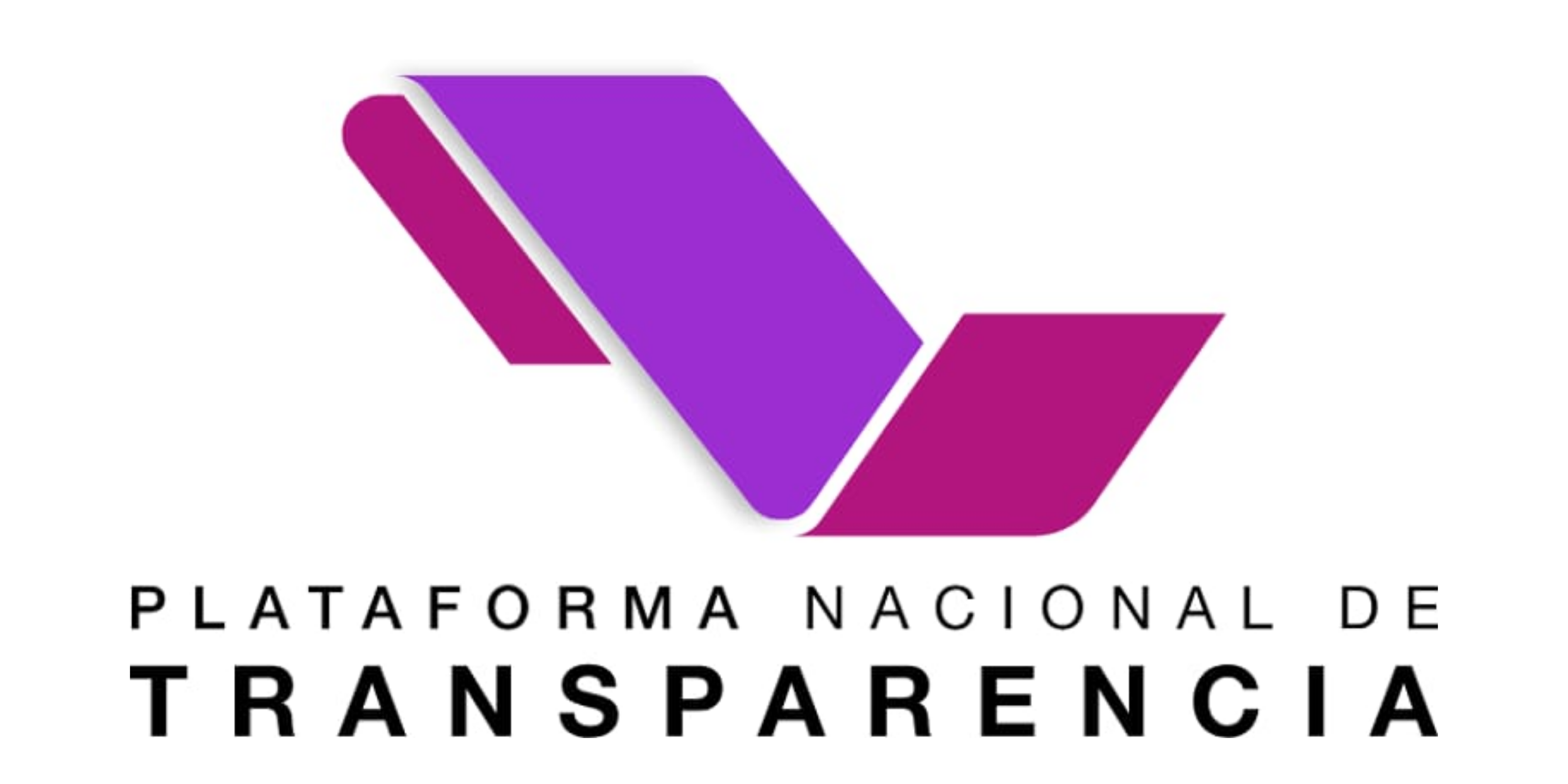 Transparencia 2